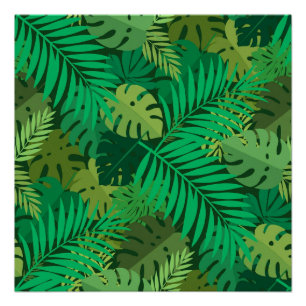 Poster Feuillage luxuriant de la jungle tropicale