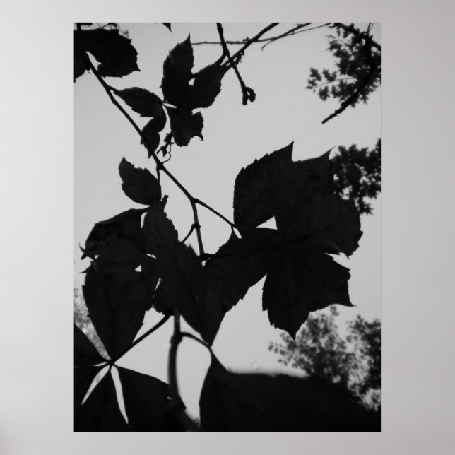 Poster Feuille (Devant)