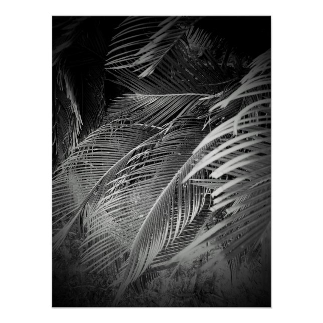 Poster Feuille (Devant)