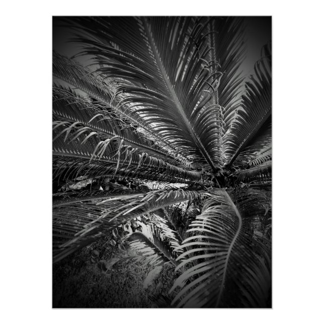 Poster Feuille (Devant)