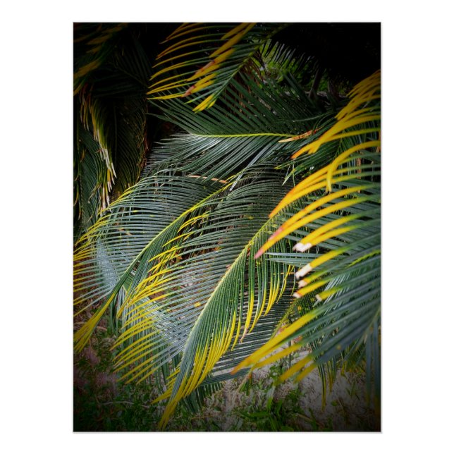 Poster Feuille (Devant)
