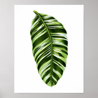 Poster Feuille botanique vintage