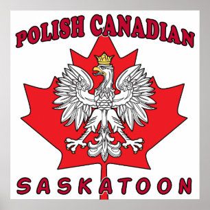 Poster Feuille canadienne de Saskatoon