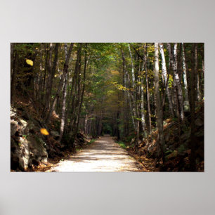 Poster Feuille croulant