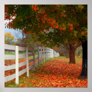 Poster Feuille d'automne