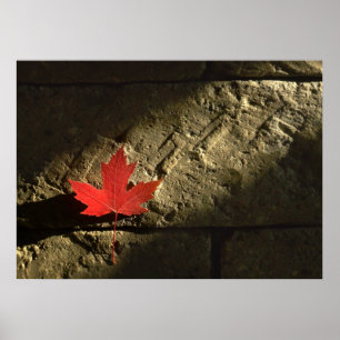 Poster Feuille d'érable du Canada