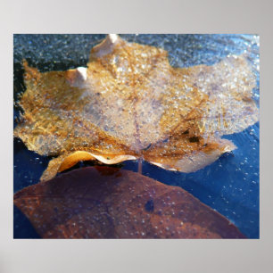 Poster Feuille d'érable jaune congelée Automne Nature