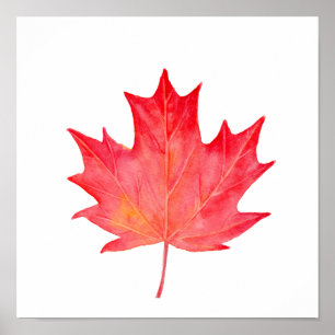 Poster Feuille d'érable rouge aquarelle