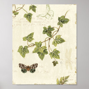 Poster Feuille et papillon