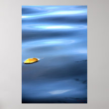 Feuille flottante sur l'eau # 111