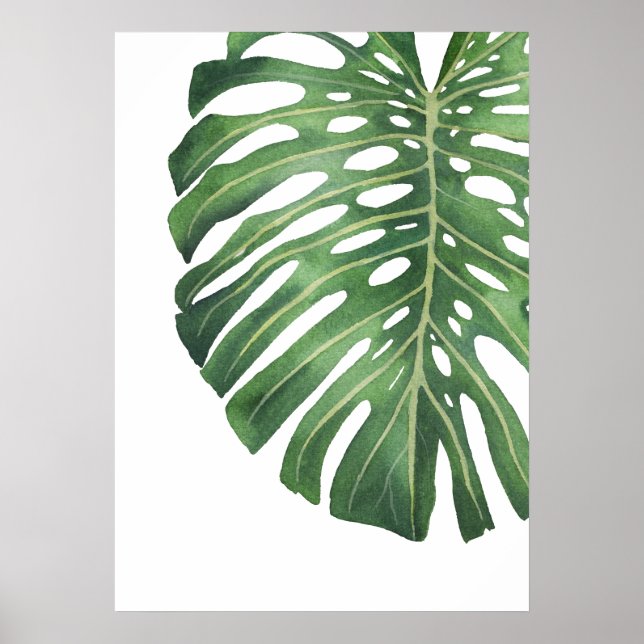 Poster Feuille Monstera 6 (Devant)