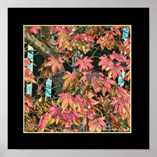 Poster Feuille rouge
