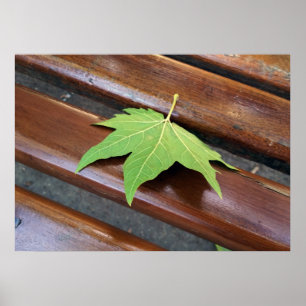 Poster feuille tombée