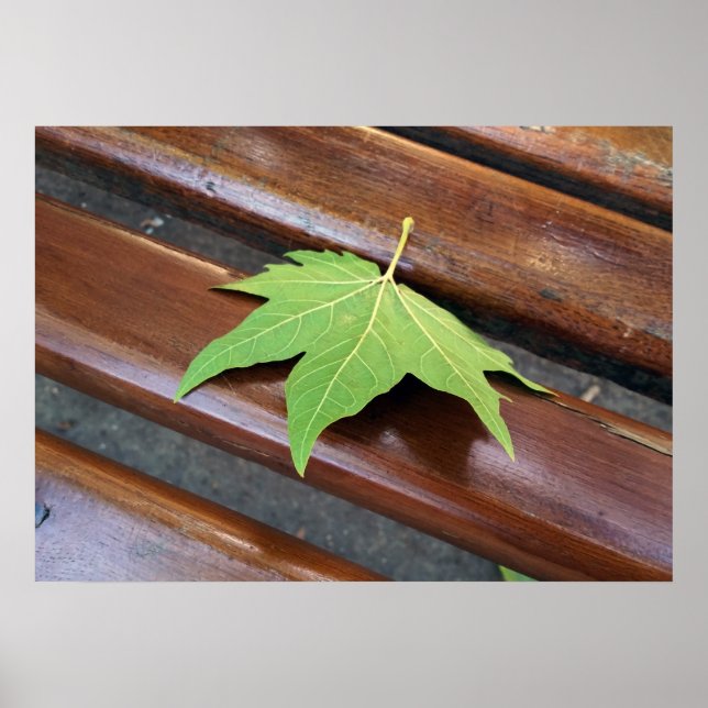 Poster feuille tombée (Devant)