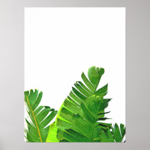Poster Feuille tropical vert de banane de paume