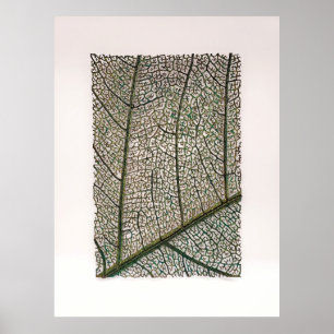 Poster Feuille verte