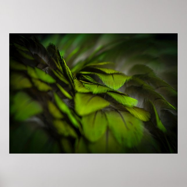 Poster Feuille verte (Devant)