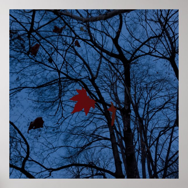 Poster feuilles au clair de lune (Devant)