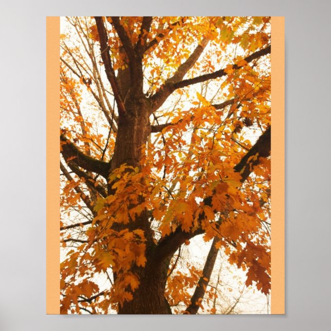 Poster Feuilles d'automne (Devant)