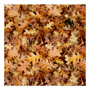 POSTER FEUILLES D'AUTOMNE