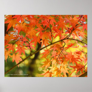 Poster Feuilles d'automne