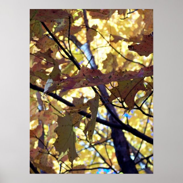Poster Feuilles d'automne (Devant)
