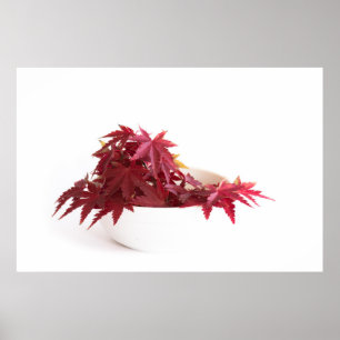 Poster Feuilles d'automne