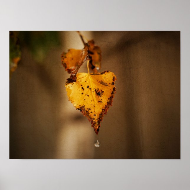 Poster Feuilles d'automne (Devant)