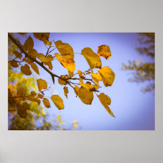 Poster Feuilles d'automne