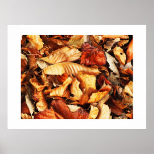 Poster Feuilles d'automne