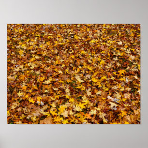 Poster Feuilles d'automne Abstraites