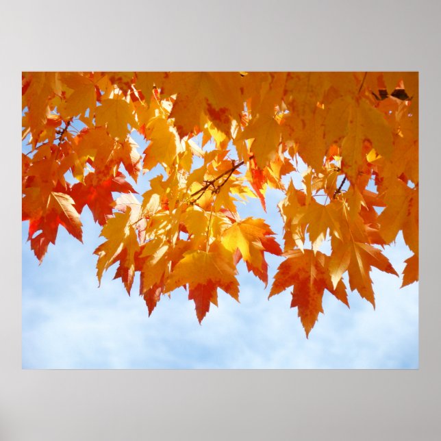 Poster Feuilles d'automne Ciel bleu Nuages Guérison Impre (Devant)