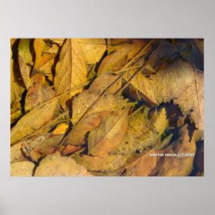 Poster Feuilles d'automne dans une flaque de pluie
