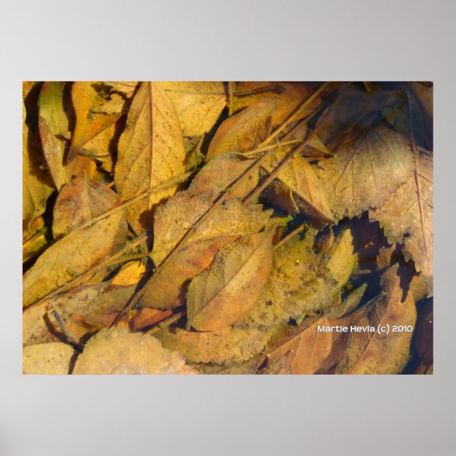 Poster Feuilles d'automne dans une flaque de pluie (Devant)