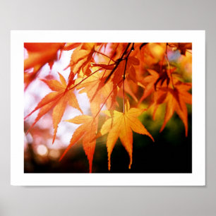 Poster Feuilles d'automne en bois japonais