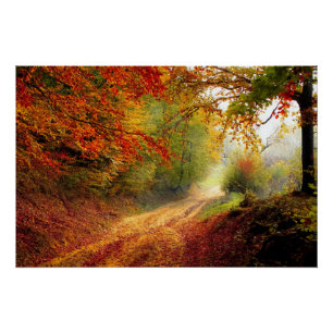 Poster Feuilles d'automne et arbres couvrant Dirt Road