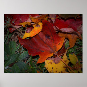 Poster Feuilles d'automne vibrantes