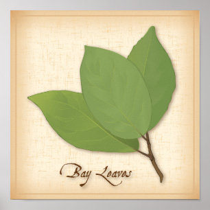 Poster Feuilles de baie