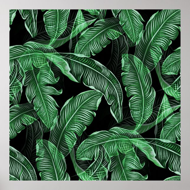 Poster Feuilles de la jungle luxuriante (Devant)