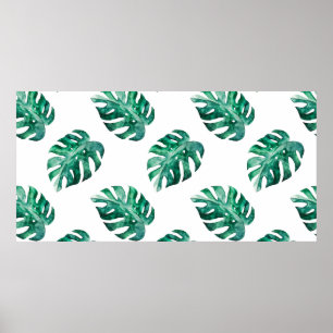 Poster Feuilles de Monstera. Motif d'illustration tropica