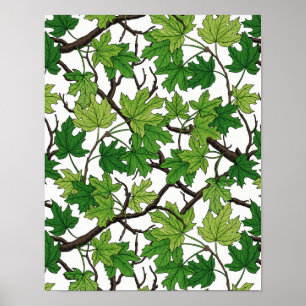 Poster Feuilles d'érable sur fond blanc