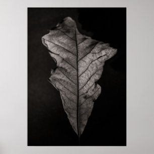 Poster Feuilles n°5