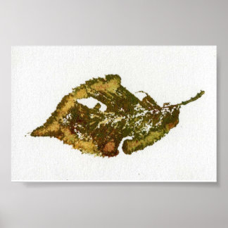 Poster Feuilles Nature Imprimer Mini-Poster