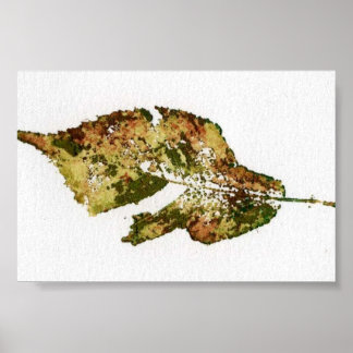Poster Feuilles Nature Imprimer Mini-Poster