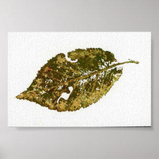 Poster Feuilles Nature Imprimer Mini-Poster