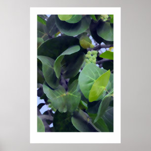 Poster Feuilles Sculpturales