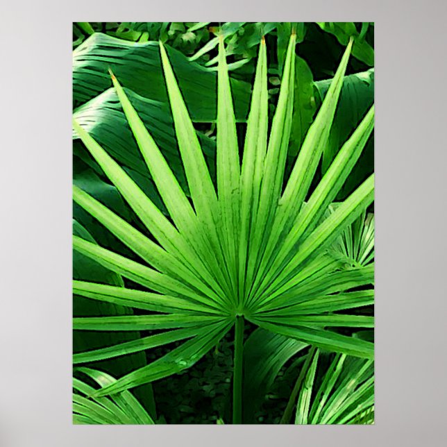 Poster Feuilles tropicaux, Moulin à vent, Vert foncé (Devant)