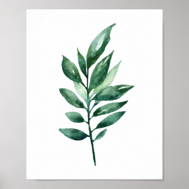 Poster Feuilles vert aquarelle. Art botanique. Jardin (Devant)