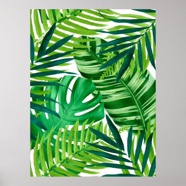 Poster Feuilles verts tropicaux (Devant)