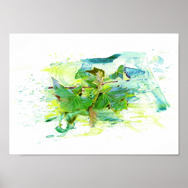 Poster Feuilles - Watercolor/aquarelle, illustration (Devant)